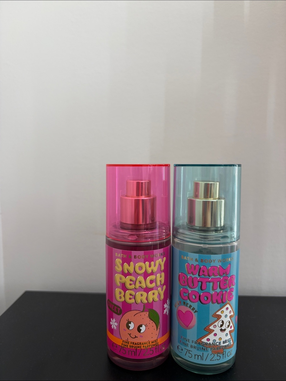 Bath and Body Works Bundle